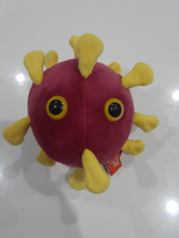 My secret Santa gift