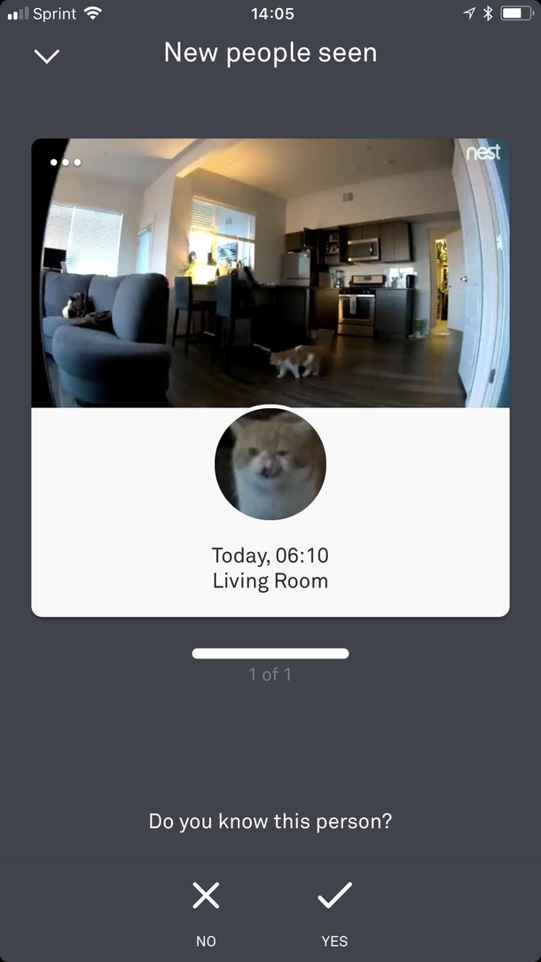 My security camera caught this shady character