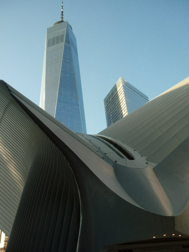 My SIL managed to inadvertently take the most inappropriate architecture photo ever