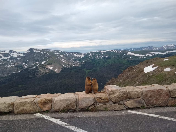 My sister accidentally caught this Pikes Peak proposal on camera