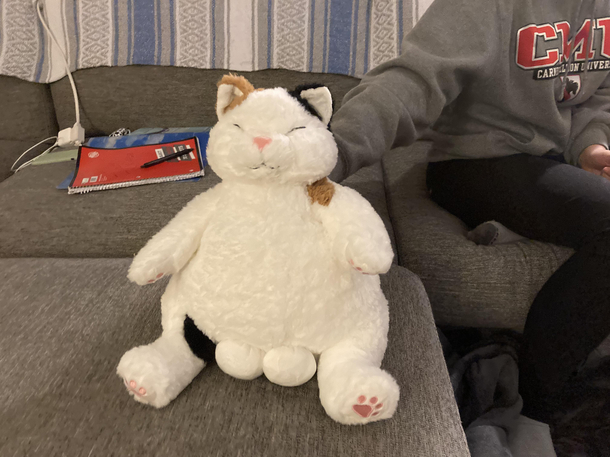 My sister found this at a thrift store lol