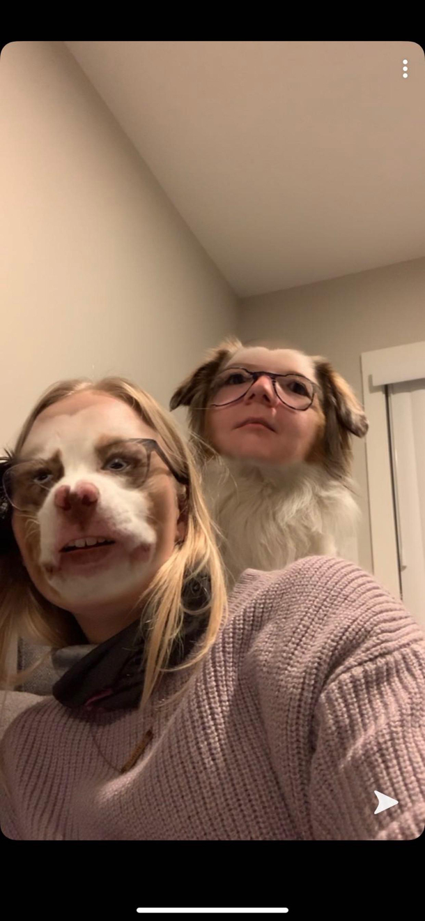 My sister had face swap open on her phone and our dog jumped behind her