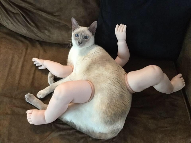 My sister in law kept going on about her new fur baby