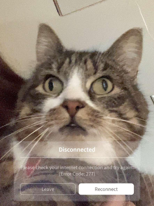 My sister just sendt me this