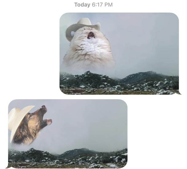 My sister made me my own version of my favorite picture