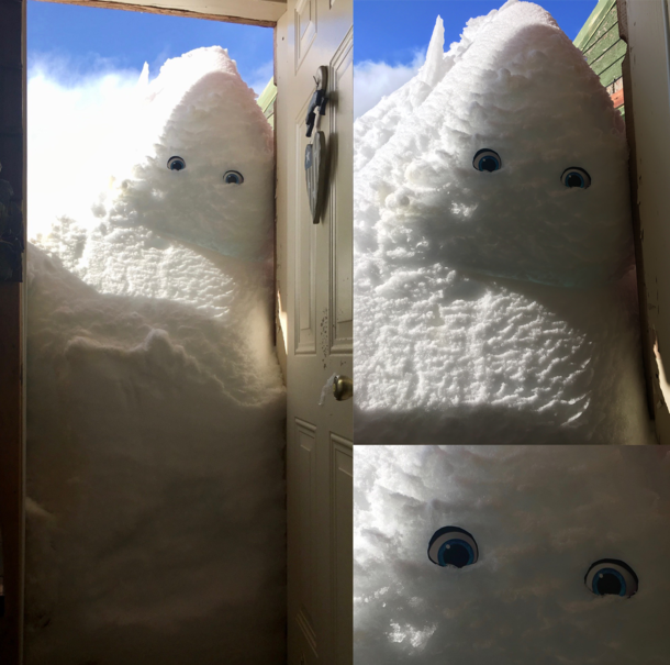 My sister put eyes on the snow drift on her porch in Montana