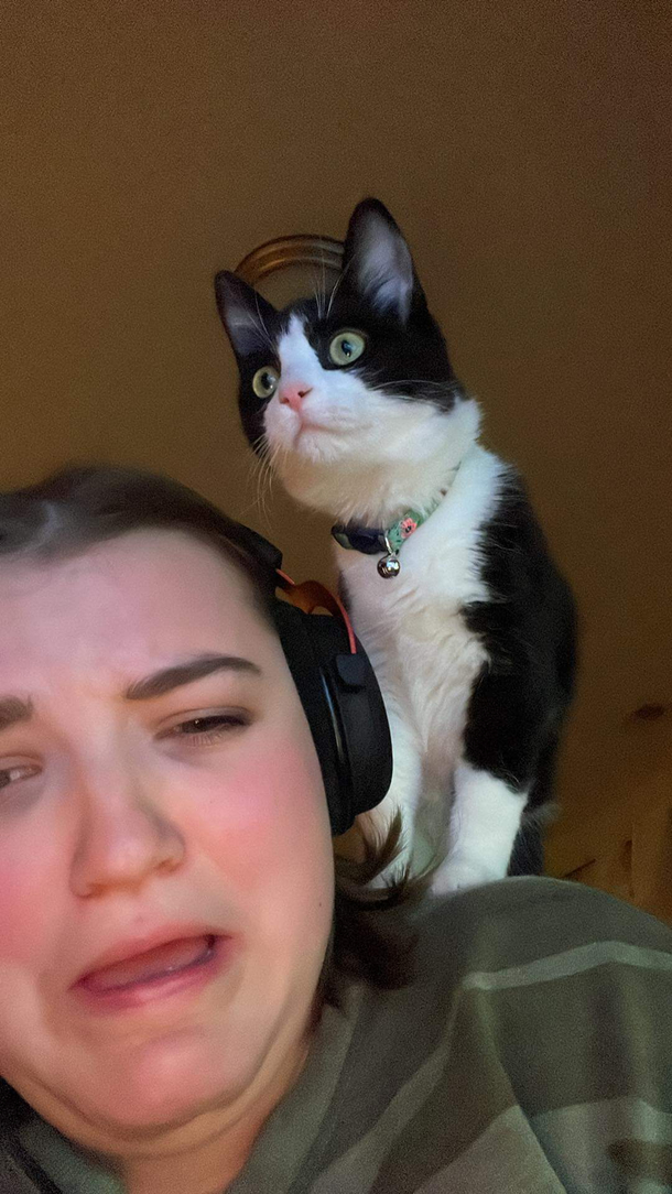 My sister recently got a kitten and she texted me this photo