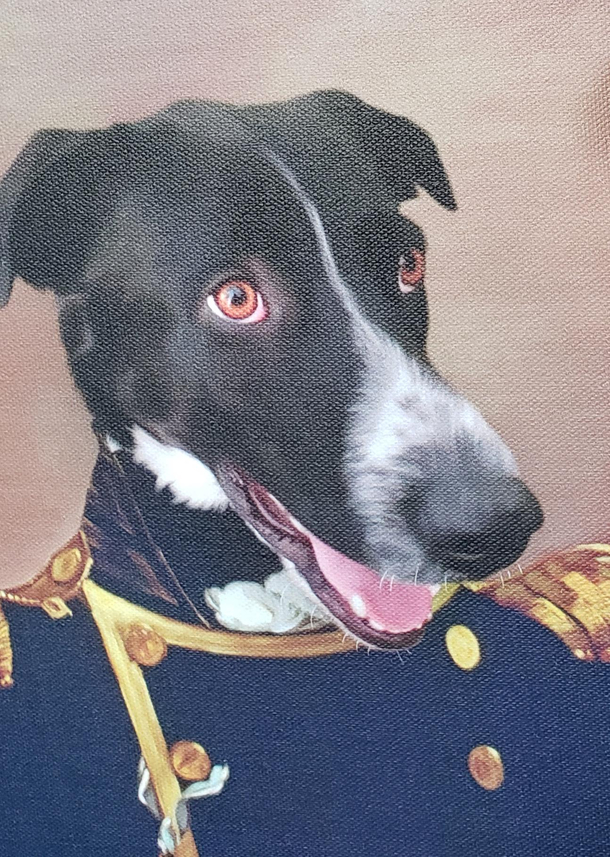 My sister sent me a present Thats my dog Milo in fancy clothes 