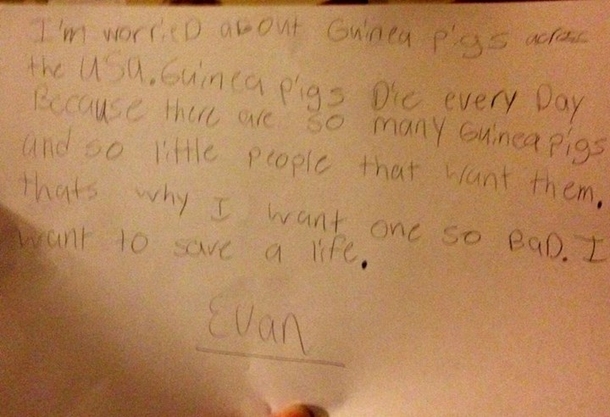 My sister told her daughter she couldnt have a guinea pig This was her written response