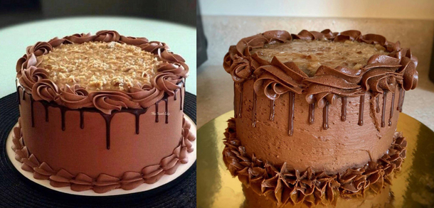 My sister usually makes cupcakes Today she made and decorated her first full-sized cake I think it looks great