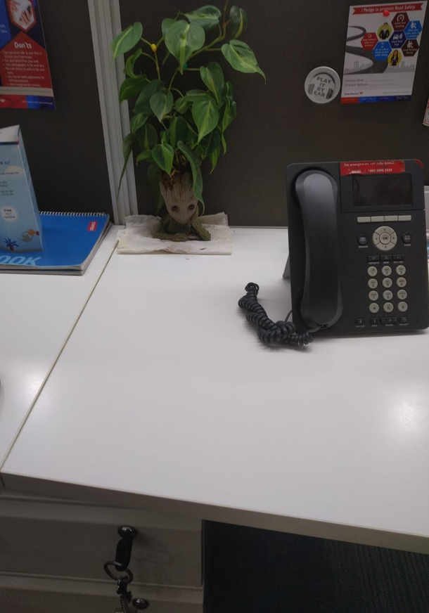 My sisters colleague has this on her desk