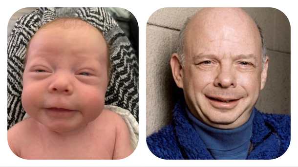 My son bears a striking resemblance to Wallace Shawn