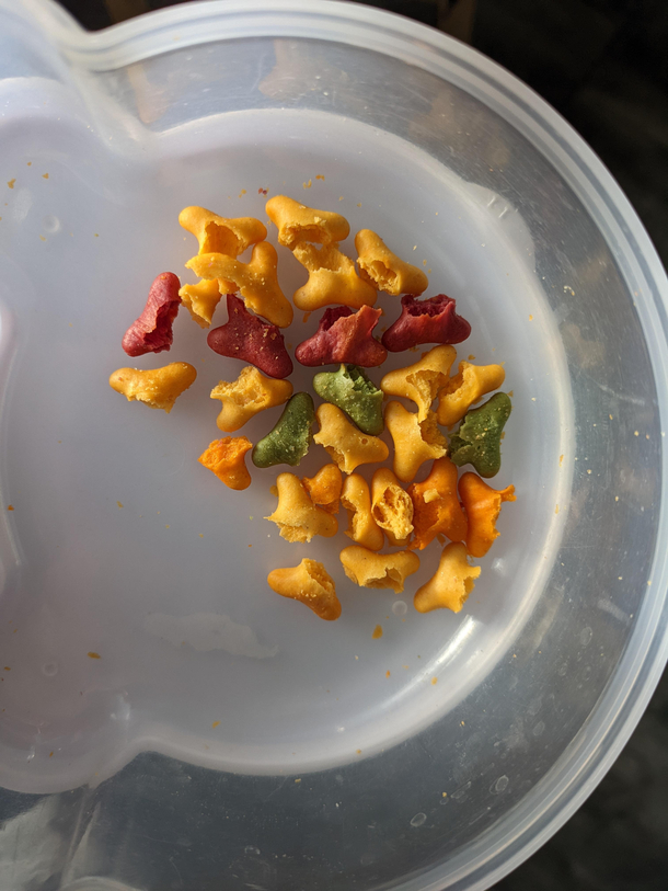 my son bit all the heads off his goldfish and left just the tails