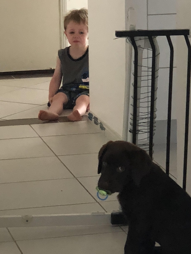 My son is still getting used to the new puppy
