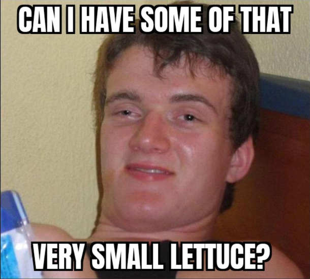 My son wanted cilantro for his taco