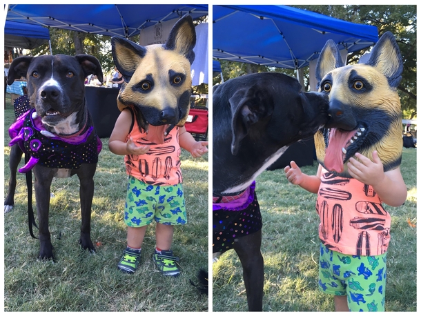 My son wanted to be a dog for Halloween