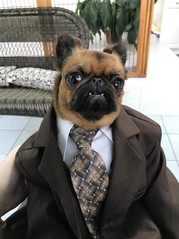 My sons first day of work 