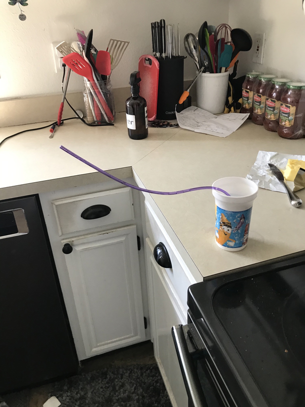 My sons twisty straw un-twisted in the dishwasher
