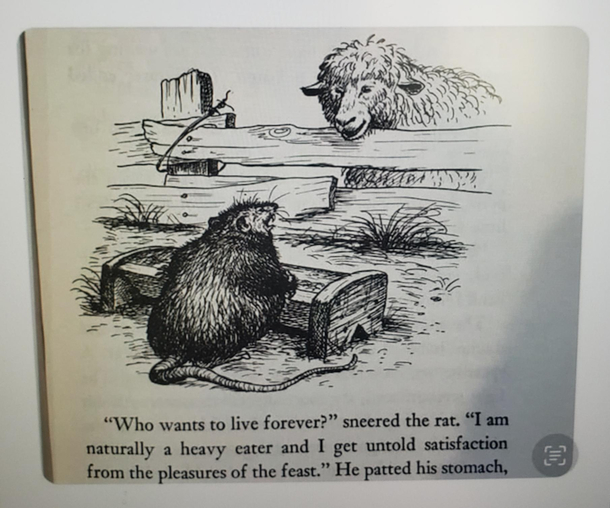 My Spirit Animal