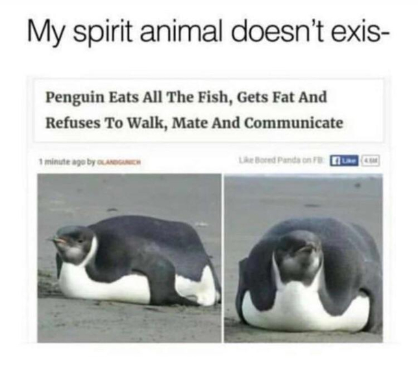 My spirit animal doesnt exis-