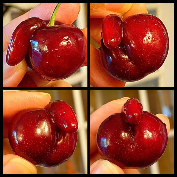 My st cherry of the year