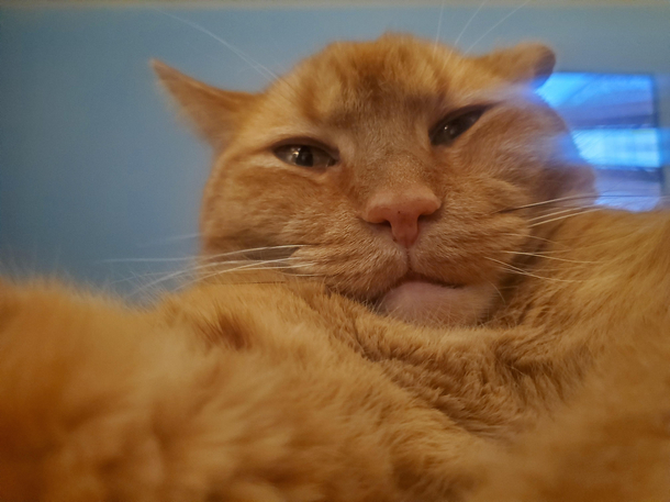 my st selfieam I doing this right