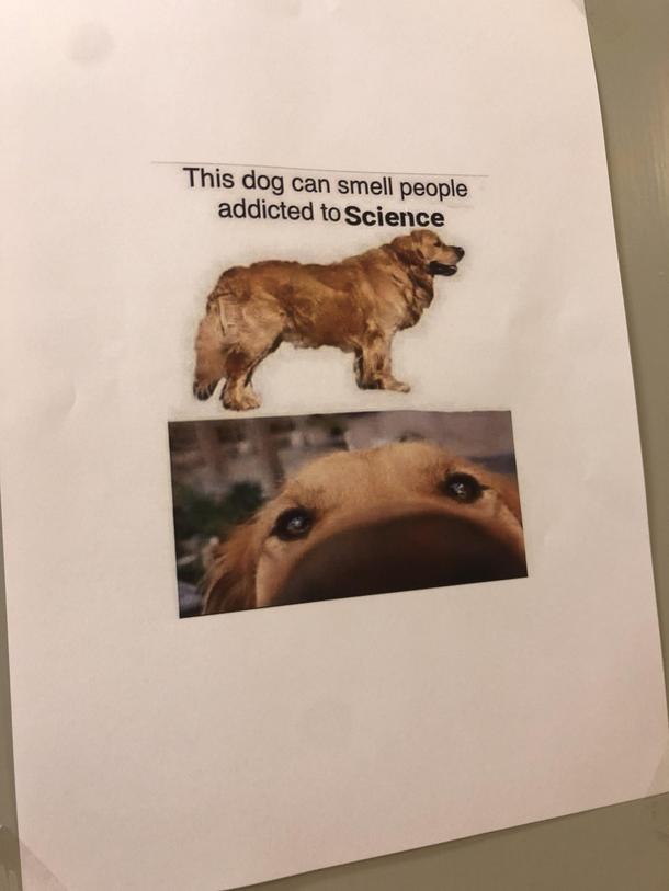 My teacher put this up on the wall in our school