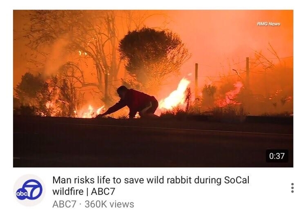 My titlethe man burned the forest with his ass