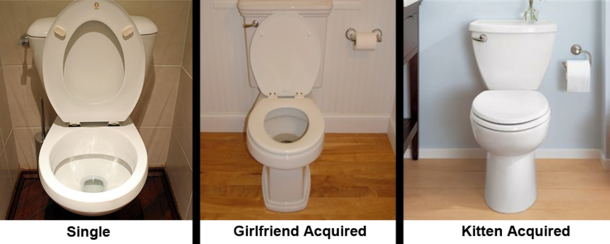 My toilet through the years