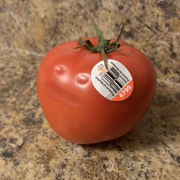 My tomato was surprised to hear it was going to become salsa