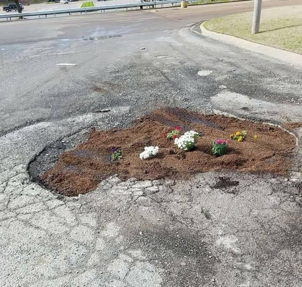 My town created a memorial to all of the suspensions lost this year