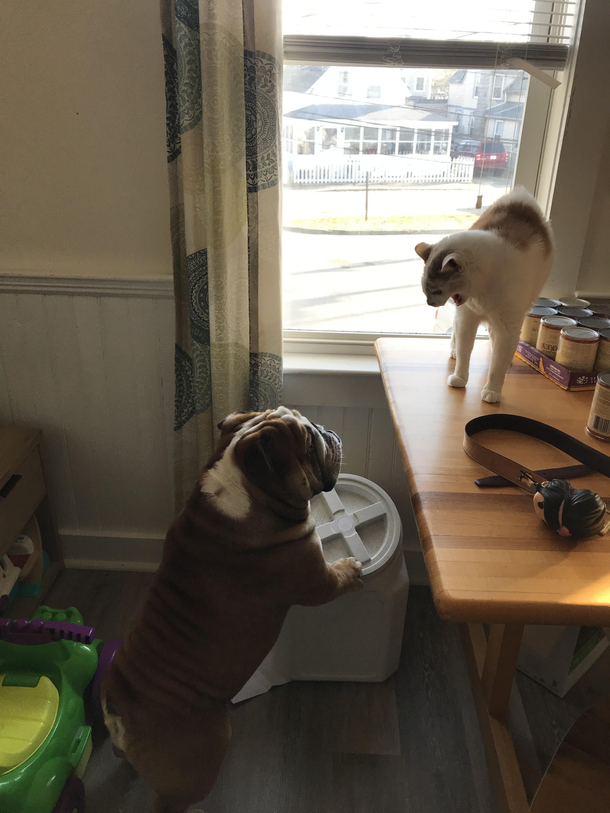 My two coworkers are getting into a heated discussion