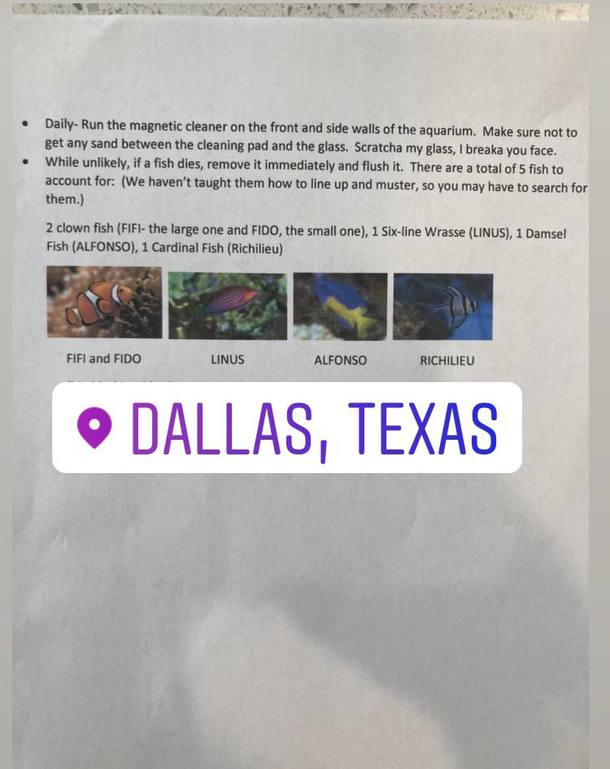 my uncles house-sitting instructions on the fish
