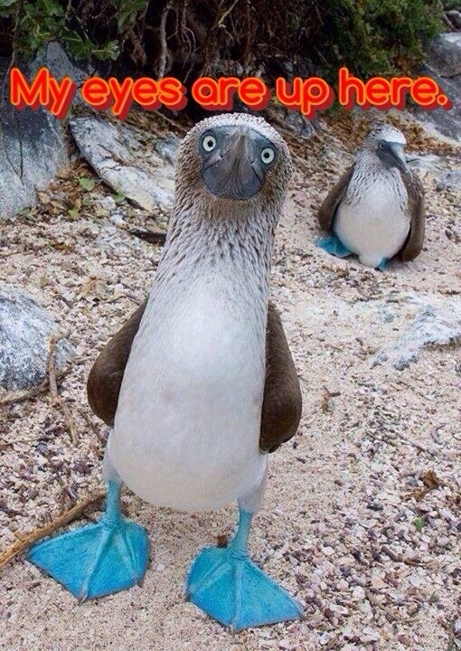 My V-Day so far