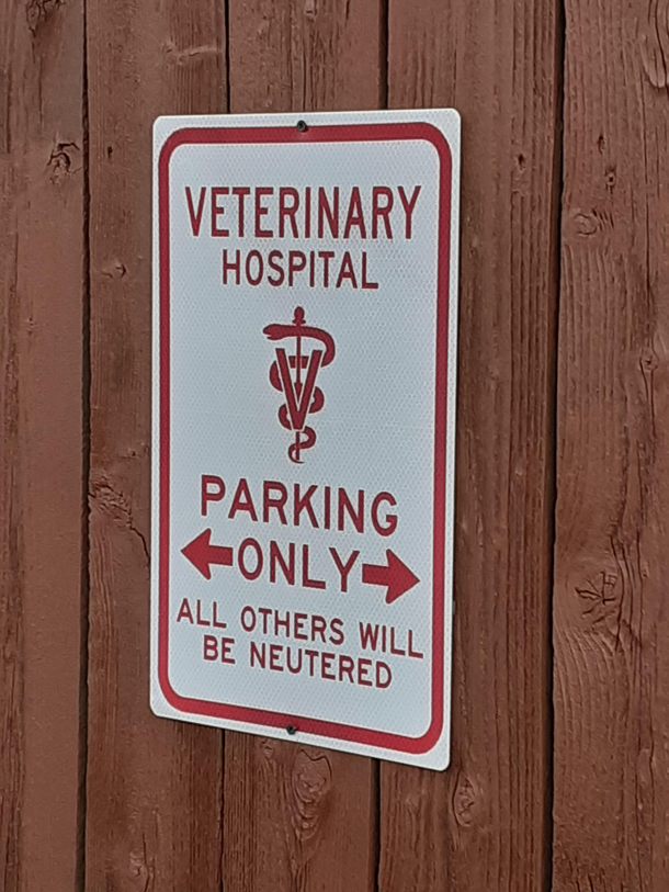 My vet doesnt mess around with parking