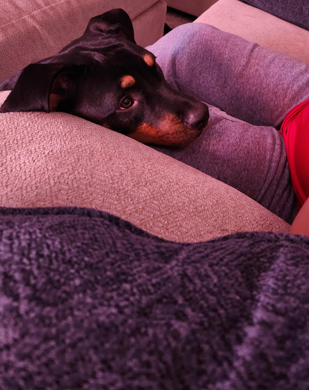 My watch dog