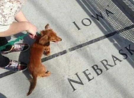 My wiener is so big it stretches from Iowa to Nebraska