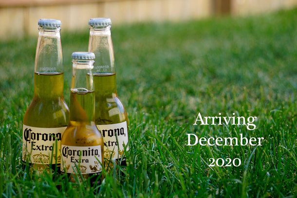 My wife and I found out we will be having a Coronavirus baby This is how we announced to close friends