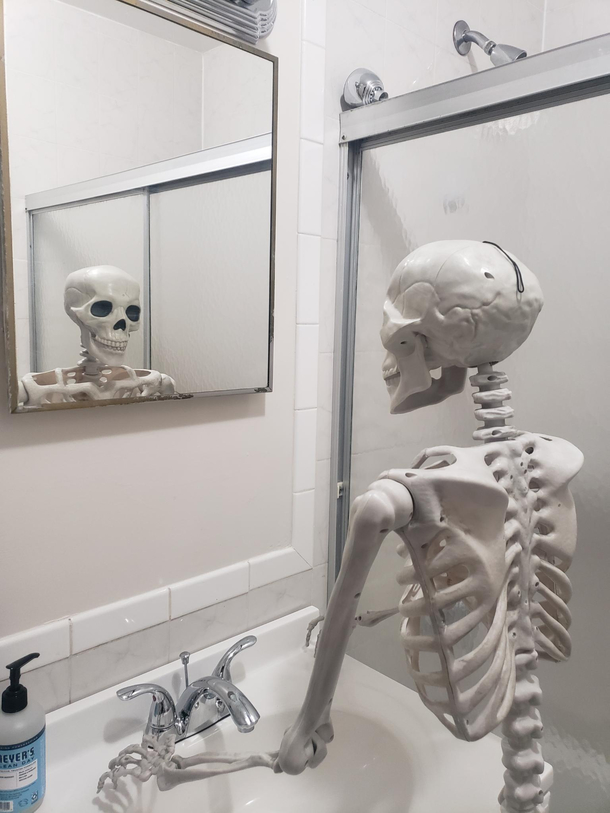 My Wife and I have been placing a skeleton we brought in different situations for the other one to find Needless to say this is my favorite one so far