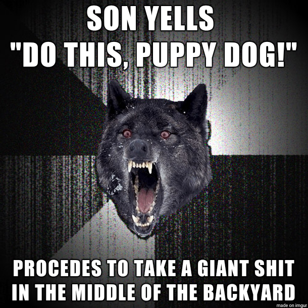 My wife and I were trying to teach our new dog to poop outside when our  year old son decided to lead by example