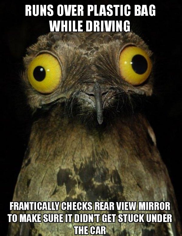 My wife asked if I was okay the last time I did this