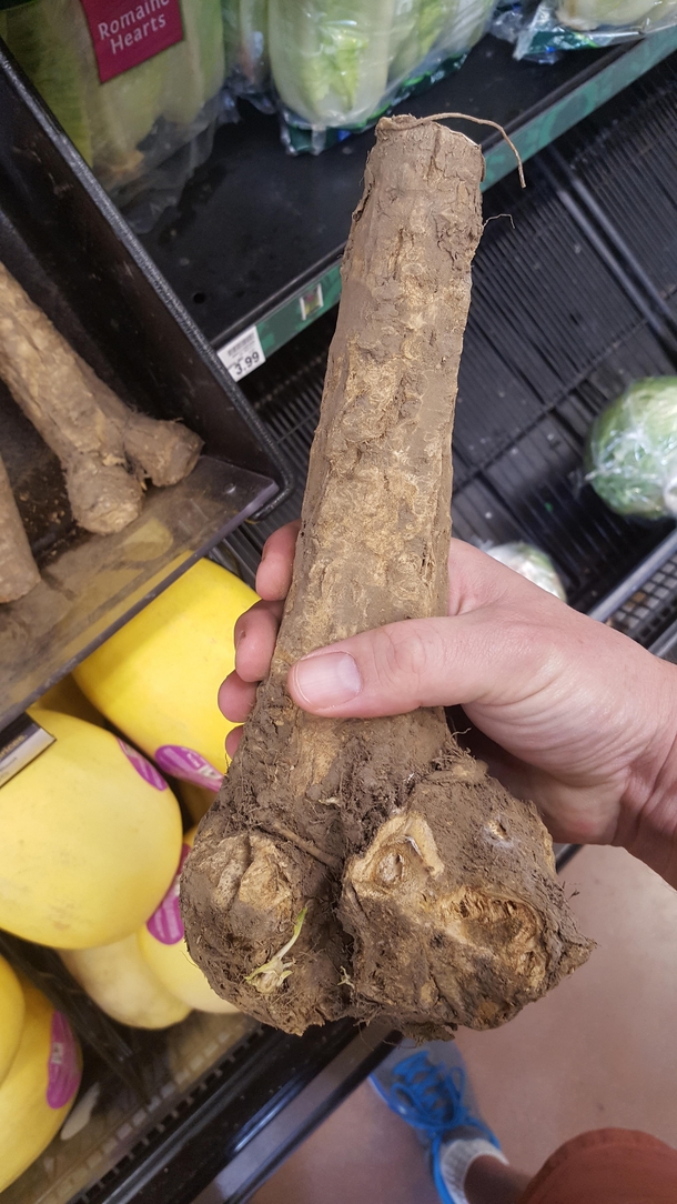 My wife asked me to pick up some girthy roots at the store