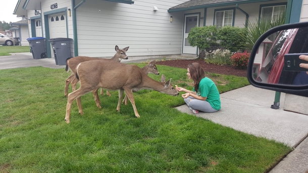 My wife being a disney princess