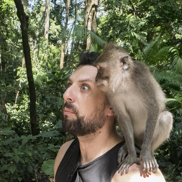 My wife captured the exact moment when this monkey started to pee on me