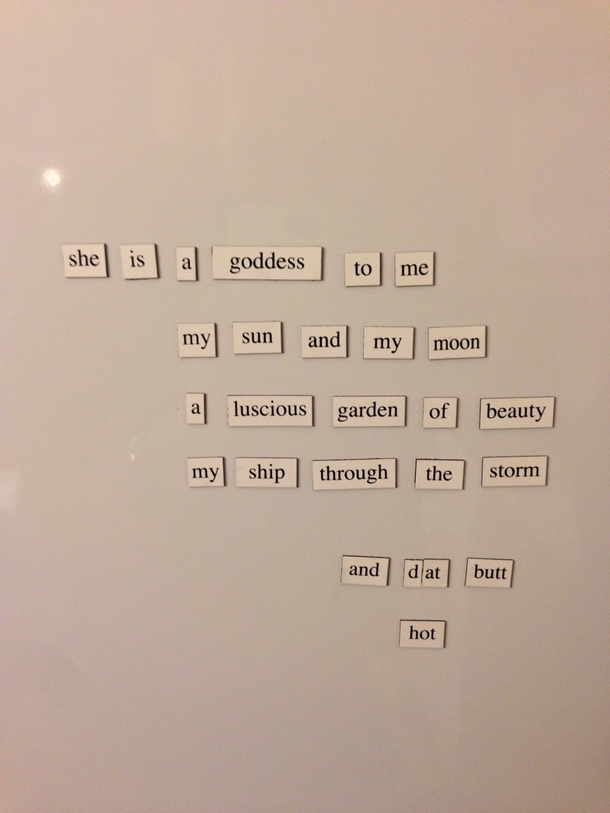 My wife didnt appreciate my fridge magnet poem
