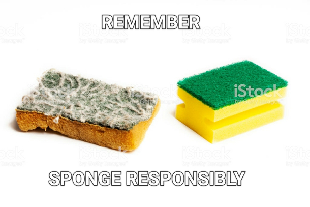 My wife had a go at me for not changing the sponge regularly