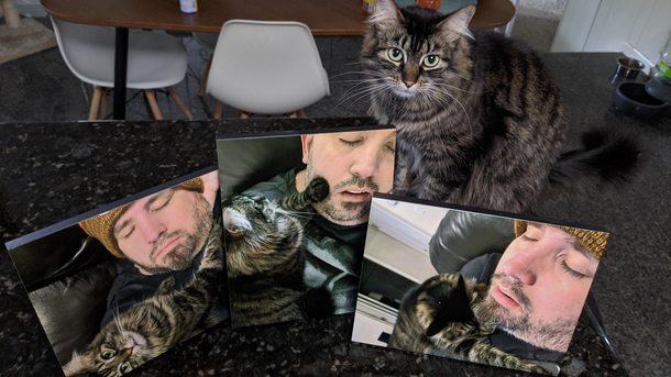 My Wife has been secretly collecting pictures of me for months sleeping Today for Fathers Day I was gifted the collection I present Catnapping