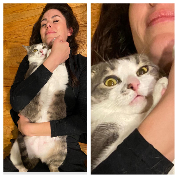My wife has tried REALLY hard to get my cat to like her
