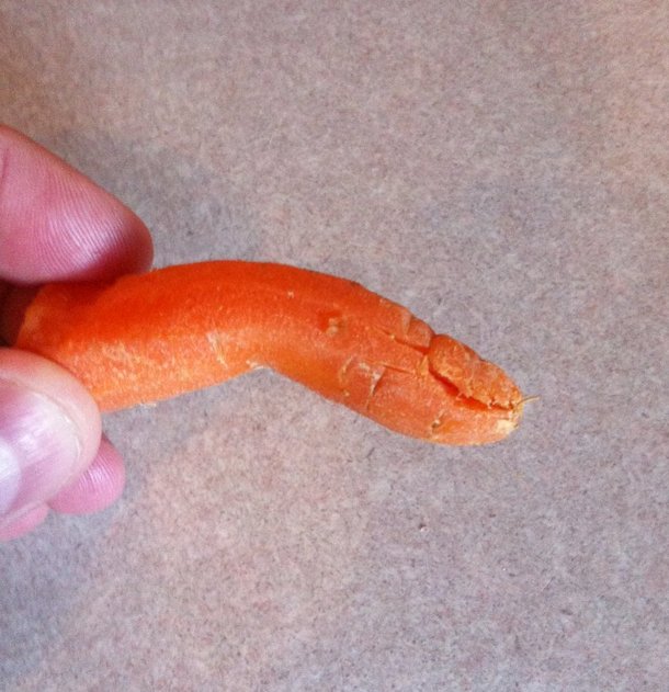 My wife jumped when she opened the bag of carrots This carrot did a good impression of a finger