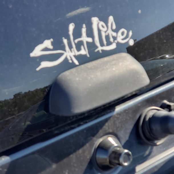 My wife legit thought these said slut life